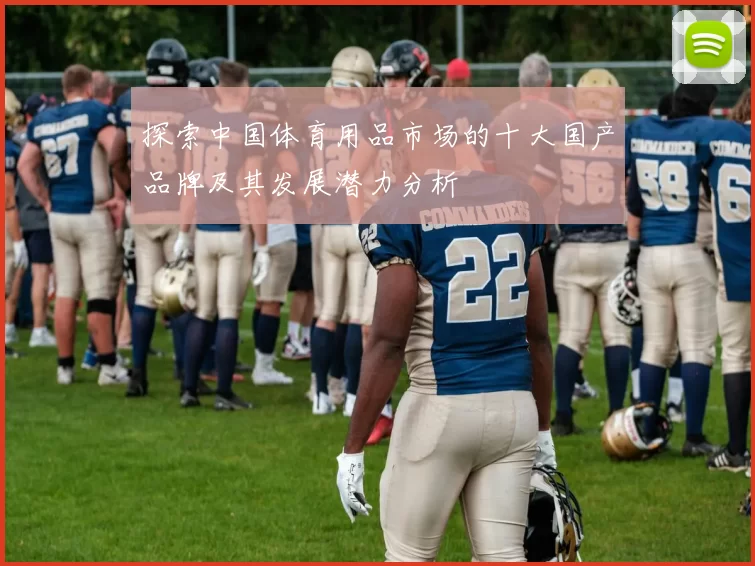 探索中国体育用品市场的十大国产品牌及其发展潜力分析
