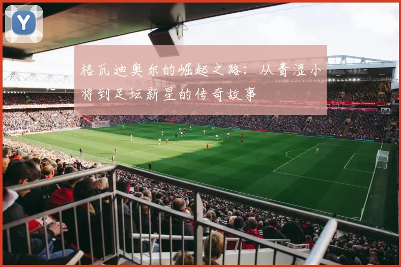 格瓦迪奥尔的崛起之路：从青涩小将到足坛新星的传奇故事