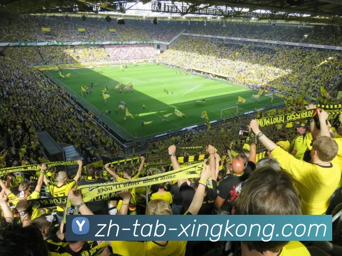 星空体育官方APP 封面图